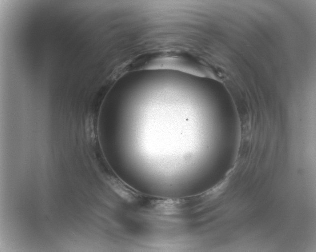 X0000071810182200607072127