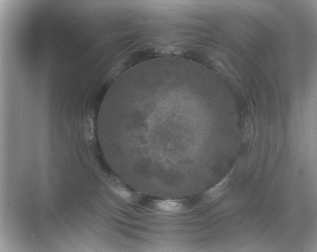 X0000071810183200607072127