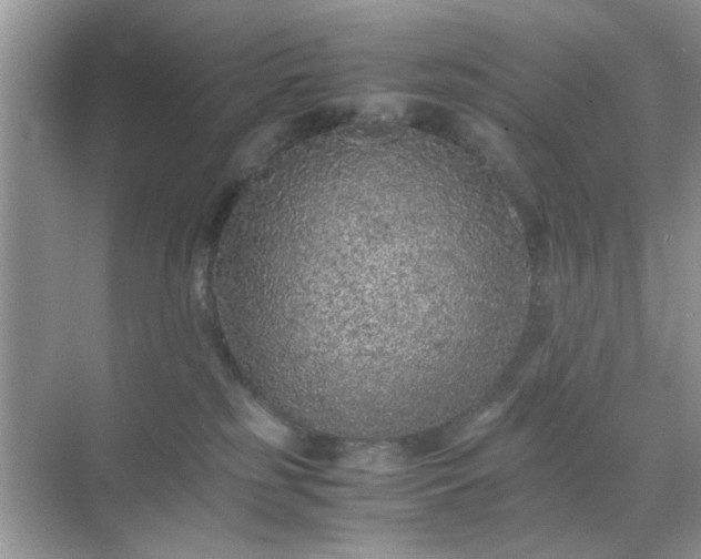 X0000071810185200607072127