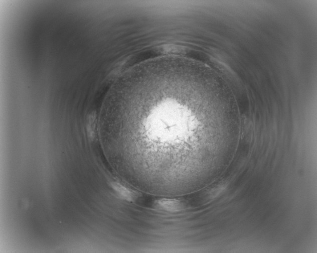 X0000071810189200607072127