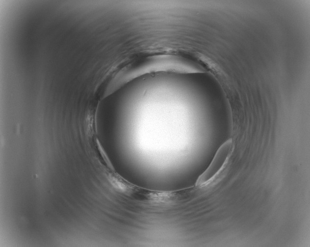 X0000071810192200607072127