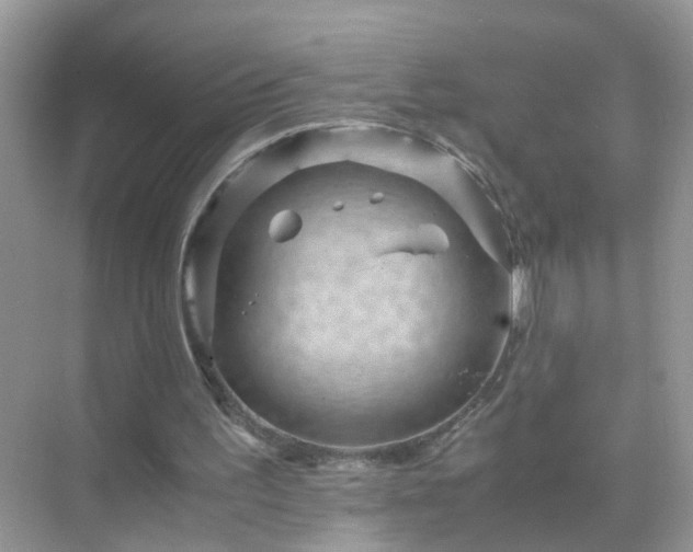 X0000071810195200607072126