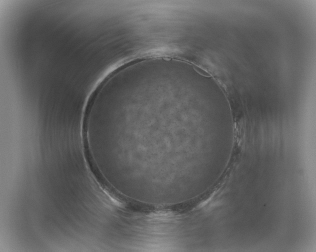 X0000071810196200607072126