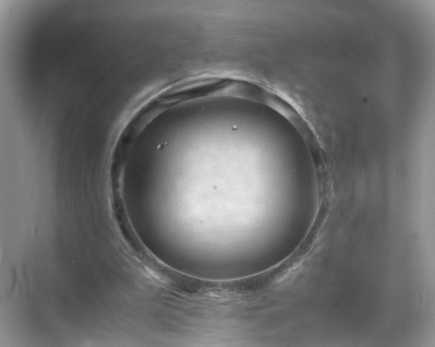 X0000071810199200607072126