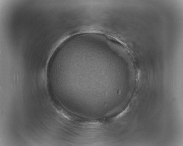 X0000071810200200607072126