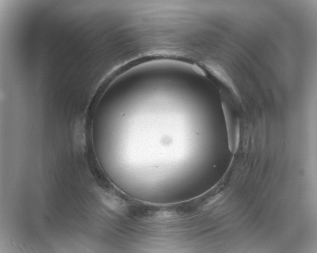 X0000071810204200607072126