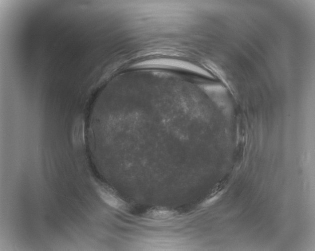 X0000071810205200607072126