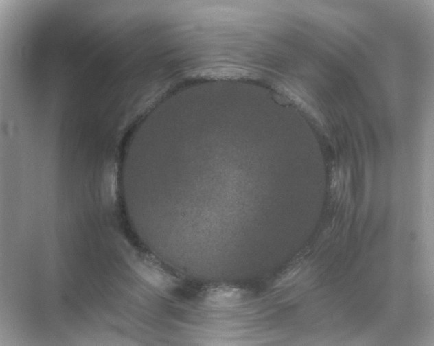 X0000071810206200607072126