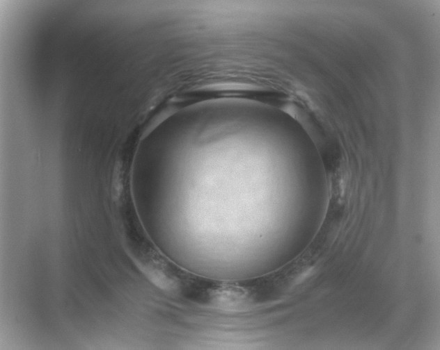 X0000071810215200607072126