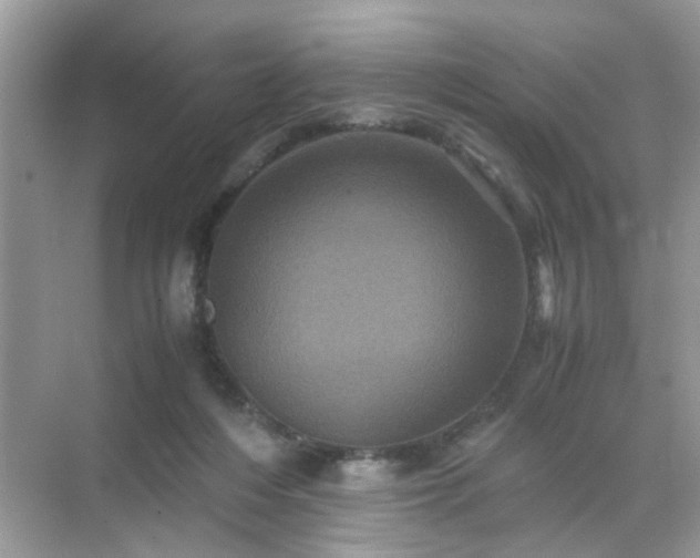 X0000071810216200607072126