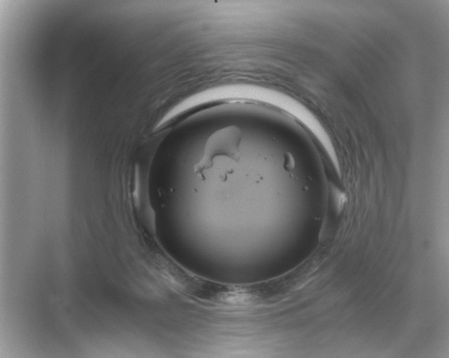 X0000071810219200607072126