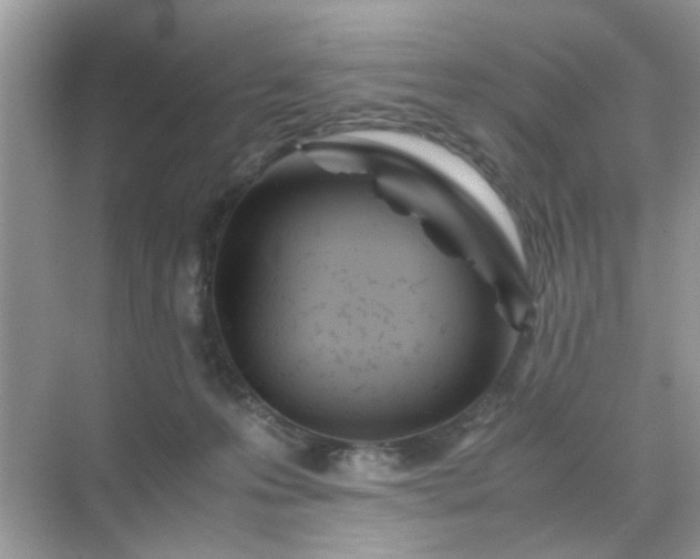 X0000071810223200607072126