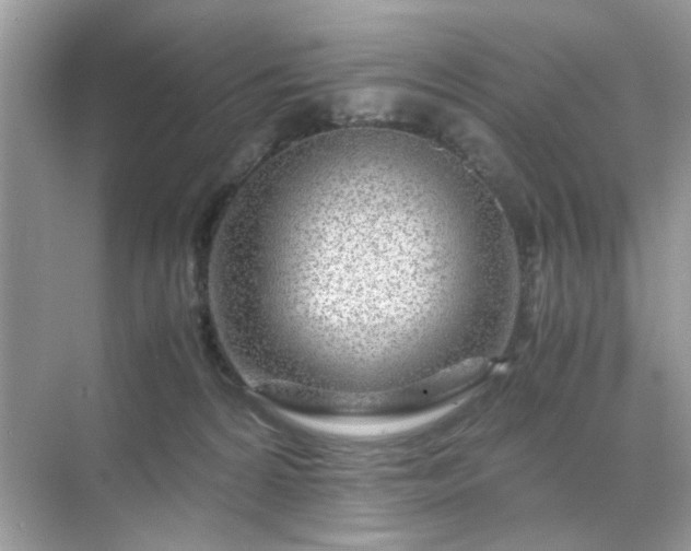 X0000071810224200607072126