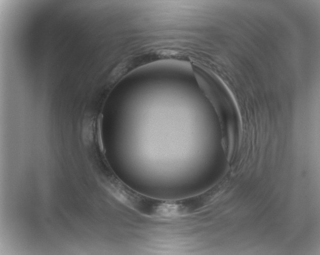 X0000071810227200607072126