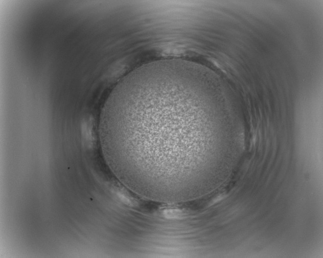 X0000071810228200607072125