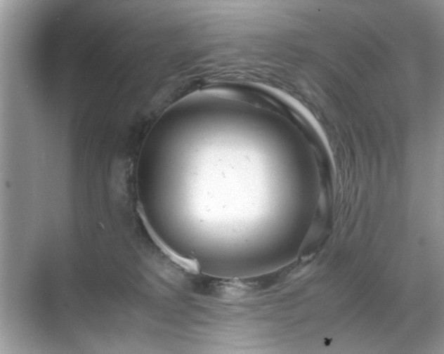 X0000071810229200607072125