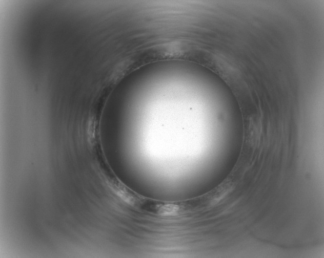 X0000071810230200607072125