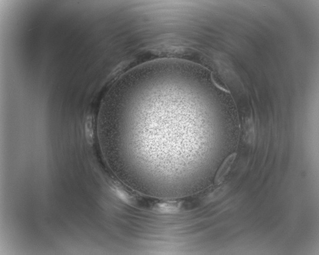 X0000071810232200607072125