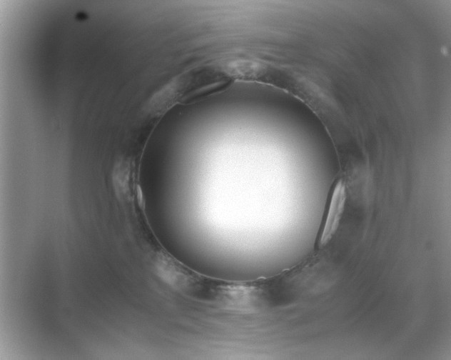 X0000071810233200607072125