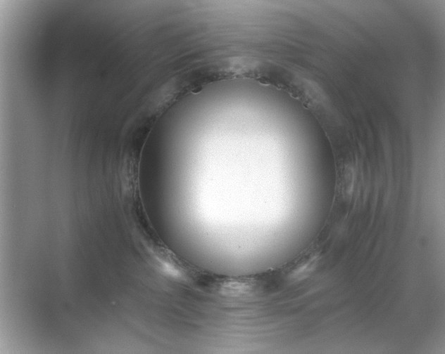 X0000071810236200607072125