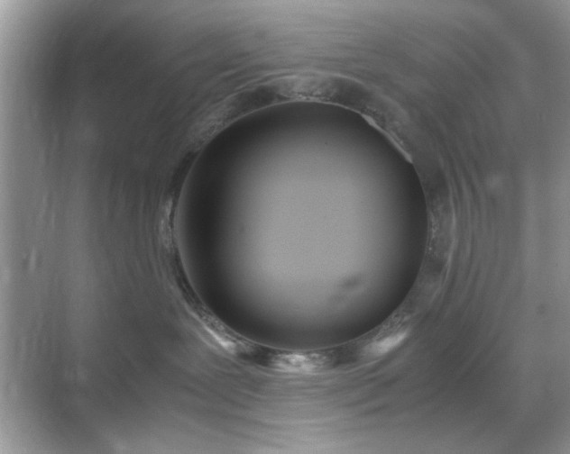 X0000071810239200607072125