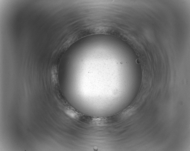 X0000071810240200607072125