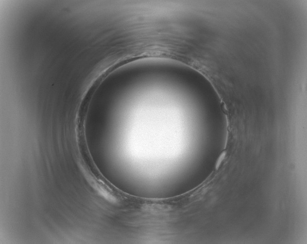 X0000071810242200607072125