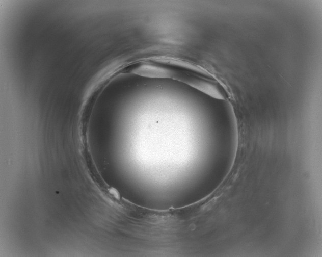 X0000071810245200607072125