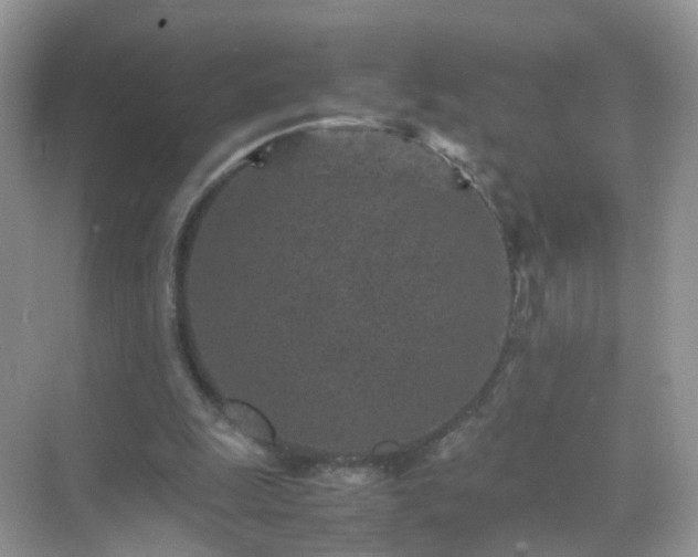 X0000071810247200607072125