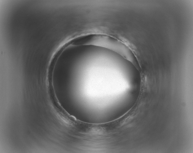 X0000071810248200607072125