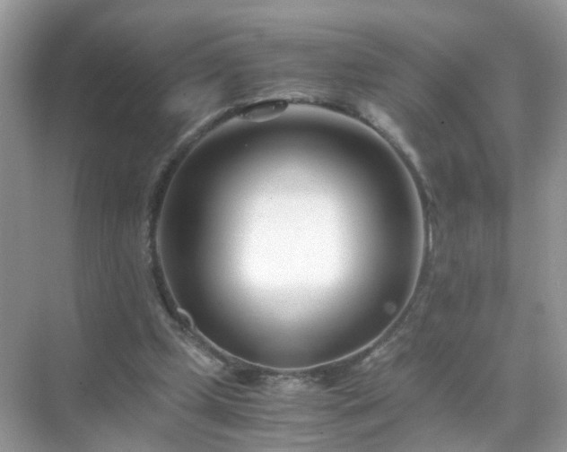 X0000071810249200607072125