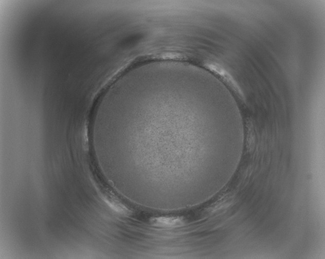 X0000071810251200607072125