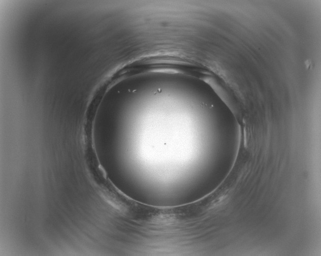 X0000071810252200607072125