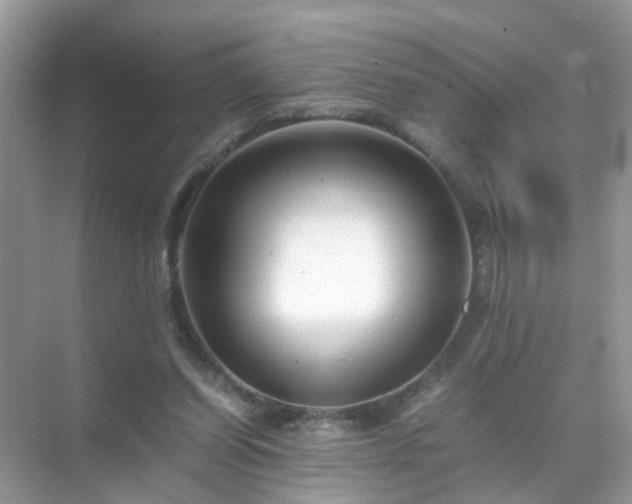 X0000071810254200607072125