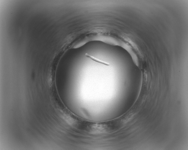 X0000071810261200607072125