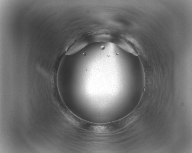 X0000071810265200607072125