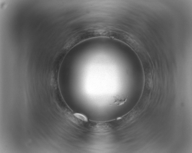 X0000071810270200607072125