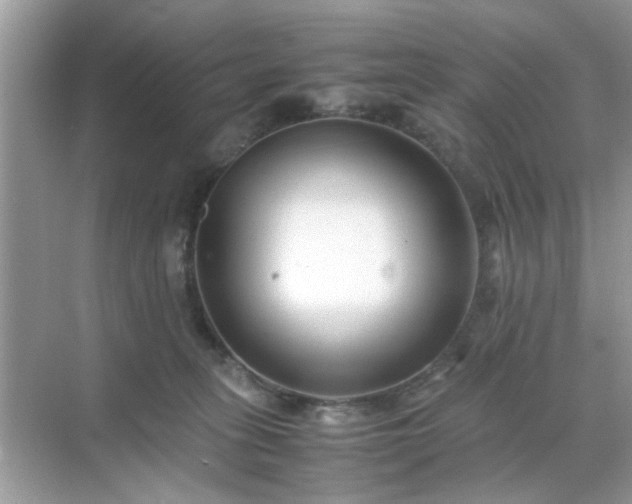 X0000071810275200607072125