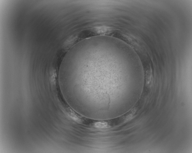 X0000071810279200607072125