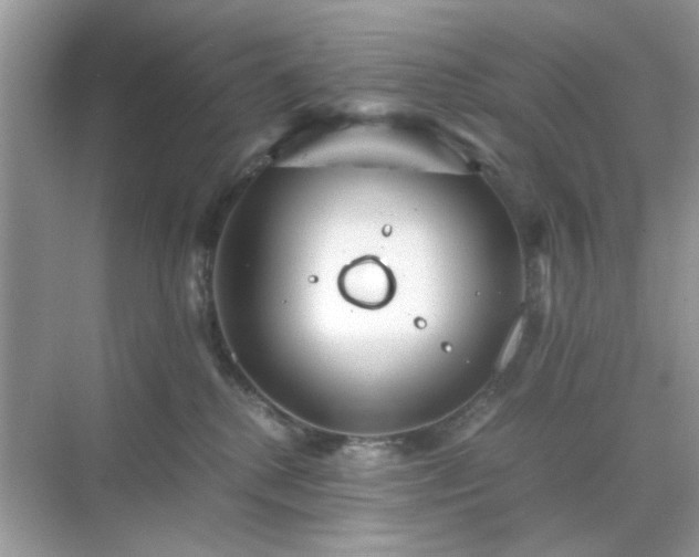 X0000071810280200607072125