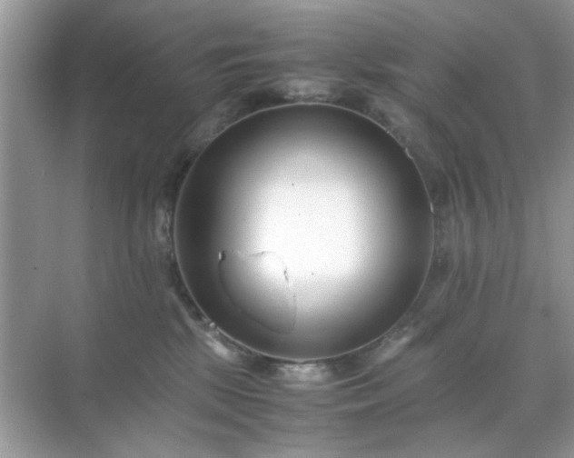 X0000071810281200607072125