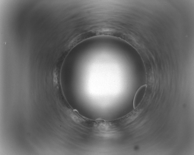 X0000071810282200607072125