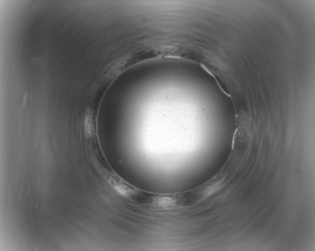 X0000071810287200607072125