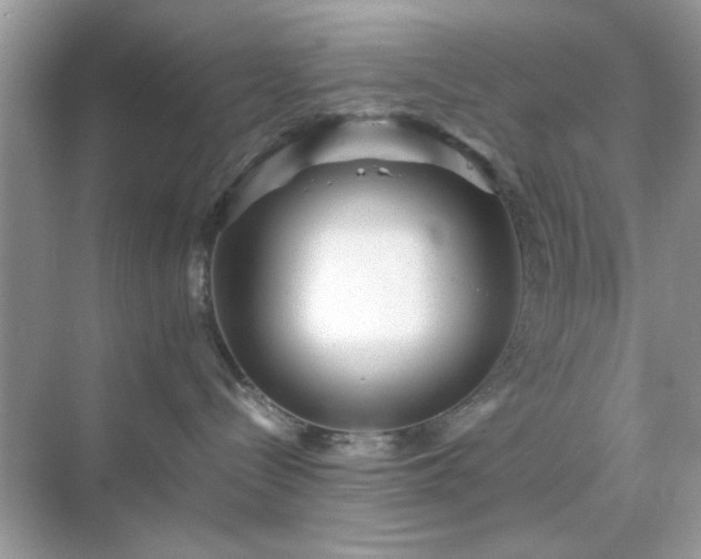 X0000071810288200607072125