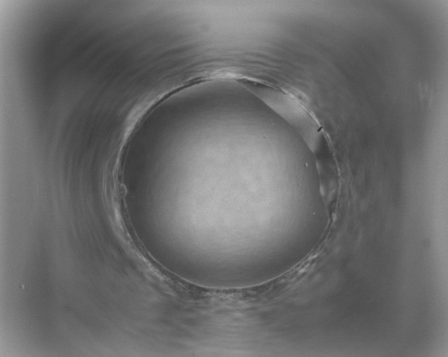 X0000071810289200607072124