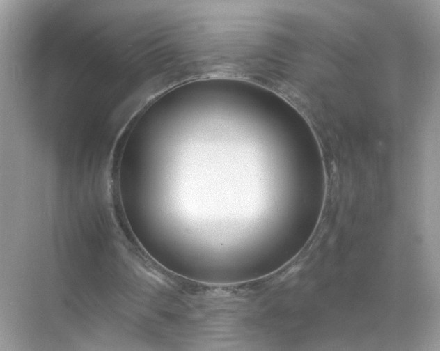 X0000071810290200607072124