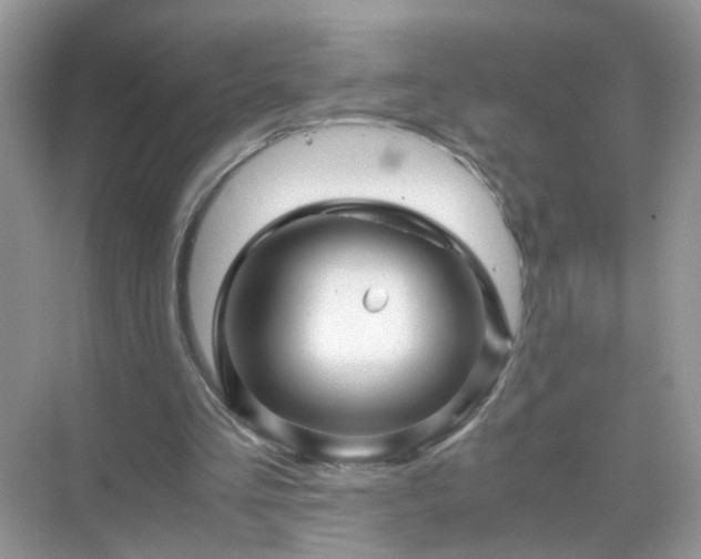 X0000071810293200607072124