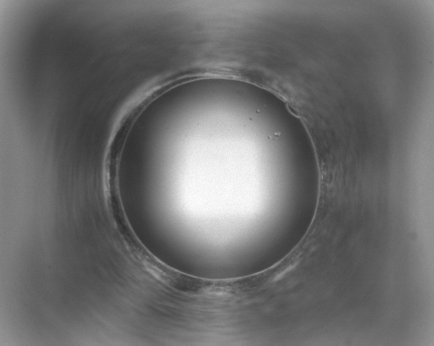 X0000071810294200607072124