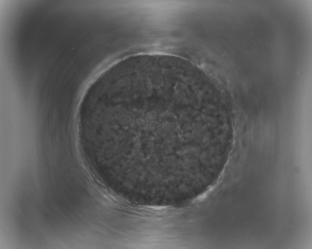 X0000071810295200607072124