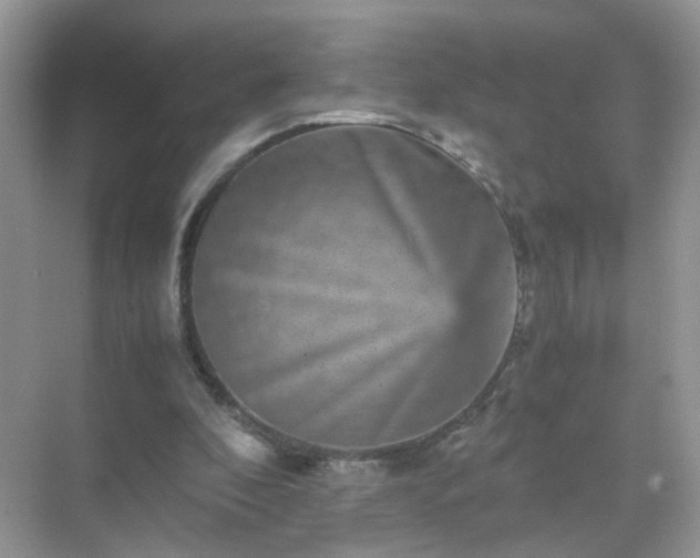 X0000071810296200607072124